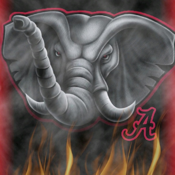 Meet your Posher, Brandon - Picture 1 of 1